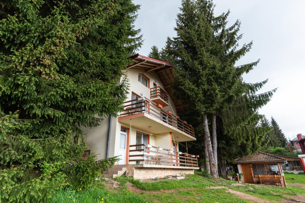 Orlino Holiday Park Sarnitsa Dış mekan fotoğraf