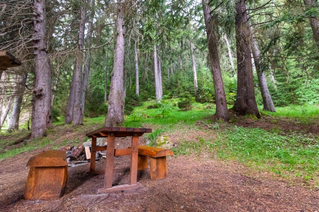 Orlino Holiday Park Sarnitsa Dış mekan fotoğraf