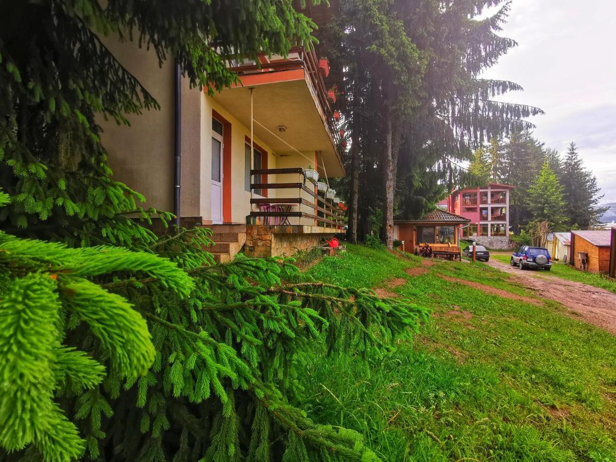 Orlino Holiday Park Sarnitsa Dış mekan fotoğraf