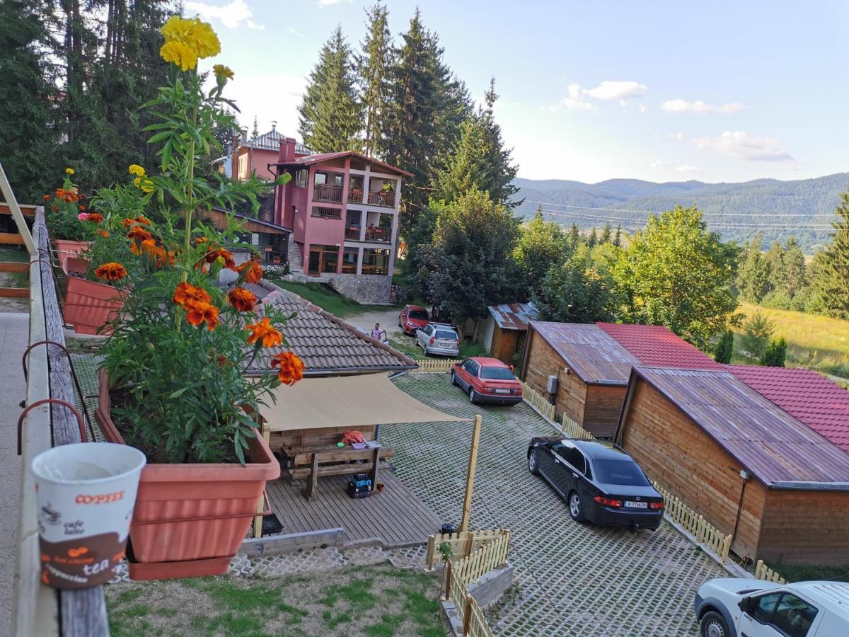 Orlino Holiday Park Sarnitsa Dış mekan fotoğraf